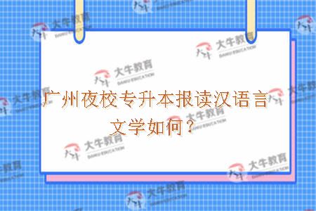 广州夜校专升本报读汉语言文学如何？