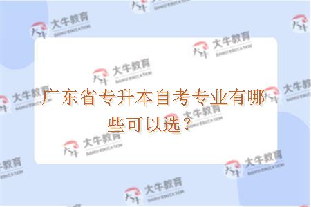 广东省专升本自考专业有哪些可以选？