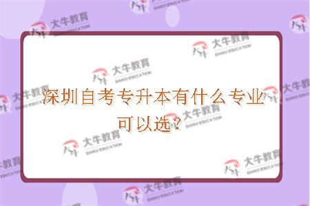 深圳自考专升本有什么专业可以选？