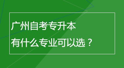 广州自考专升本有什么专业可以选？