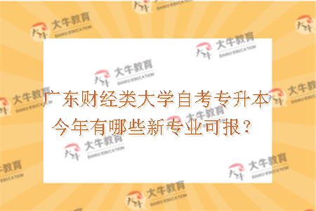 广东财经类大学自考专升本今年有哪些专业可报？