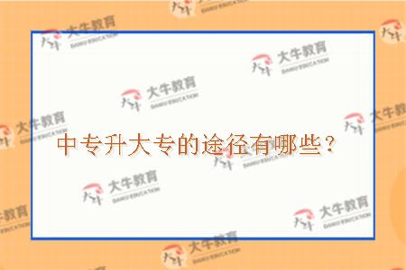 中专升大专报名