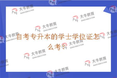 自考专升本学士学位证