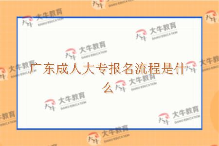 广东成人大专报名流程是什么