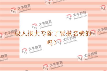 成人报大专除了要报名费的吗