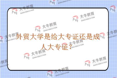 外贸大学是给大专证还是成人大专证