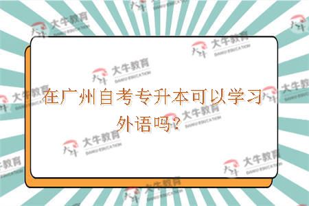 在广州自考专升本可以学习外语吗？