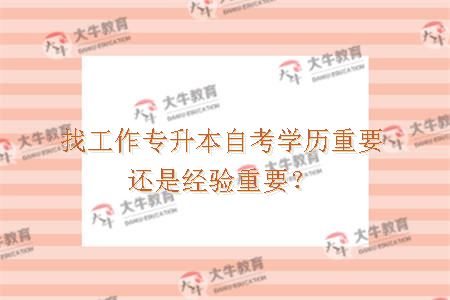 找工作专升本自考学历重要还是经验重要？