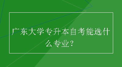 广东大学专升本自考能选什么专业？