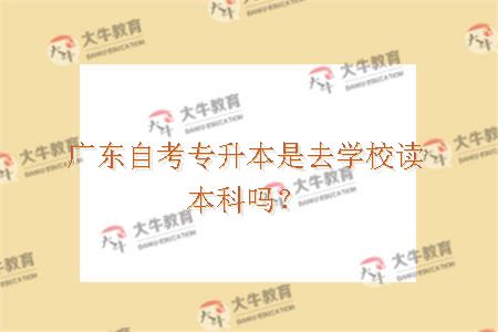 广东自考专升本是去学校读本科吗？