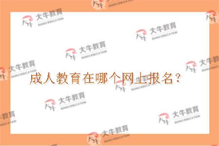 成人教育在哪个网上报名？