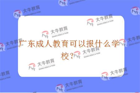 广东成人教育可以报什么学校? 广东成人教育可以报什么学校?