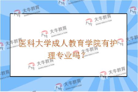 医科大学成人教育学院有护理专业吗？