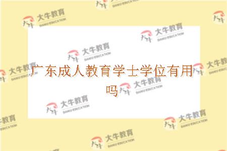 广东成人教育学士学位有用吗