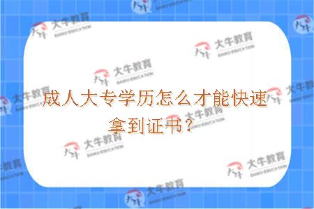 成人大专学历怎么才能快速拿到证书？