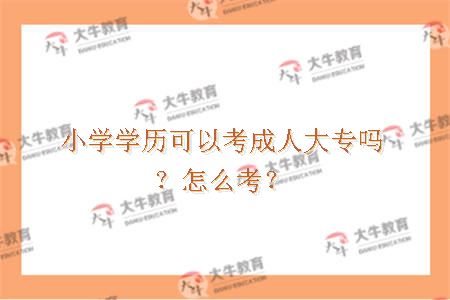小学学历可以考成人大专吗？怎么考？
