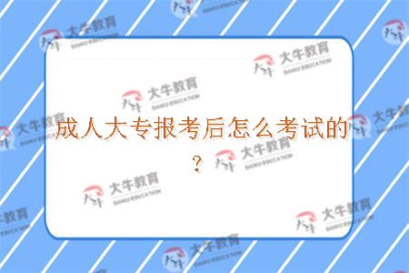 成人大专报考后怎么考试的？