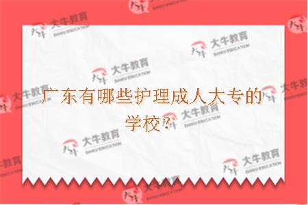 广东有哪些护理成人大专的学校？