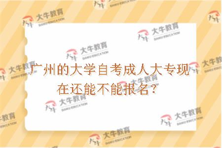 广州的大学自考成人大专现在还能不能报名？