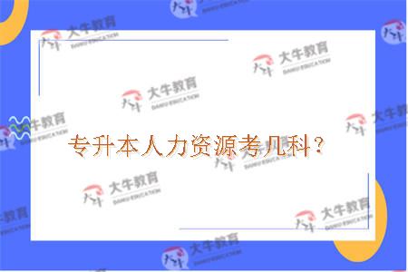 专升本人力资源考几科？