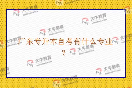  广东专升本自考有什么专业？
