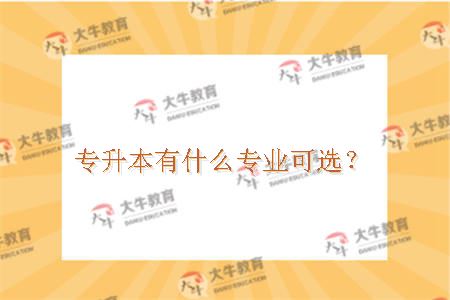 专升本有什么专业可选？