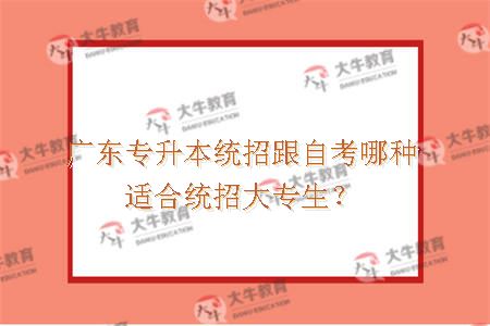 广东专升本统招跟自考哪种适合统招大专生？