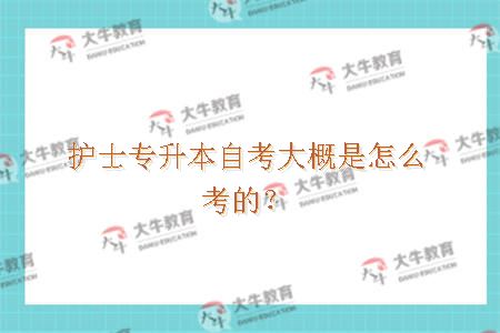 护士专升本自考大概是怎么考的？