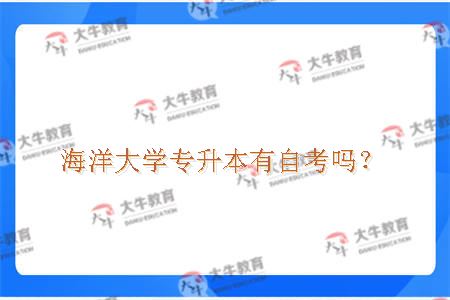 海洋大学专升本有自考吗？