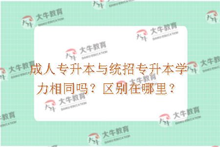 成人专升本与统招专升本学力相同吗？区别在哪里？