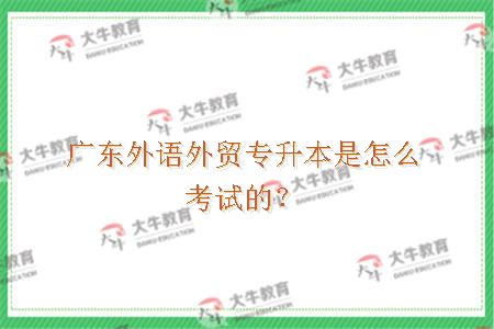 外贸专升本是怎么考试的？