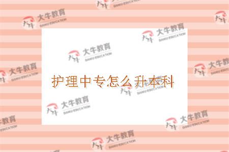 护理中专怎么升本科