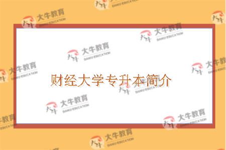 财经大学专升本简介