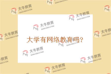 大学有网络教育吗?