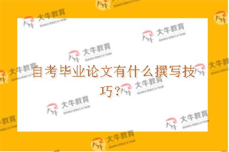 自考毕业论文有什么撰写技巧？