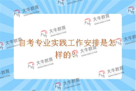 自考专业实践工作安排是怎样的？