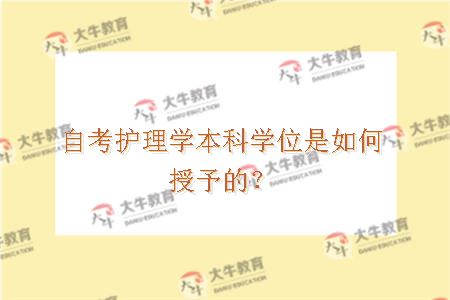 自考护理学本科学位是如何授予的？