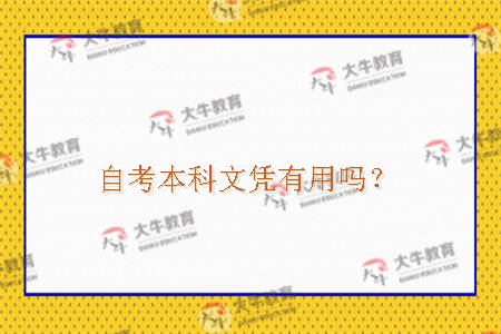自考本科文凭有用吗？