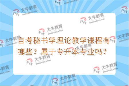 自考秘书学理论教学课程有哪些？属于专升本专业吗？