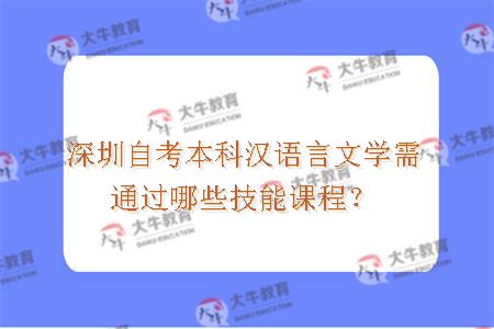 深圳自考本科汉语言文学需通过哪些技能课程？