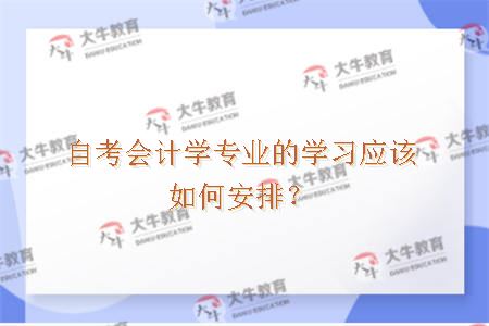 自考会计学专业的学习应该如何安排？
