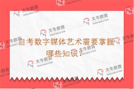 自考数字媒体艺术需要掌握哪些知识？