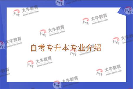 自考专升本专业