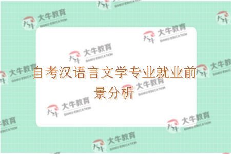 自考汉语言文学专业就业前景怎么样？
