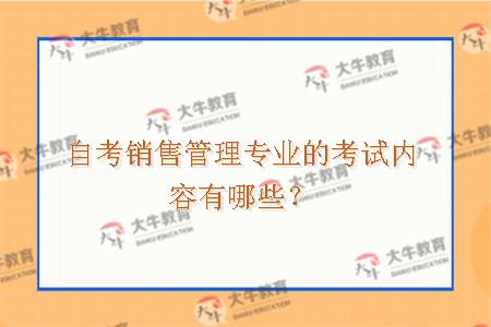 自考销售管理专业的考试内容有哪些？