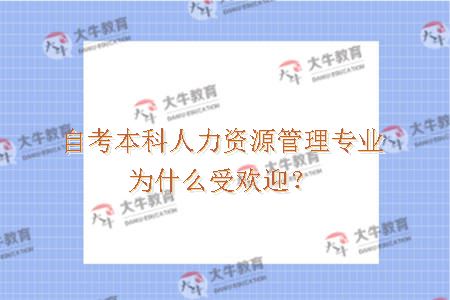 自考本科人力资源管理专业为什么受欢迎？