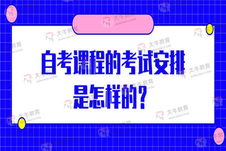 自考课程的考试安排是怎样的？