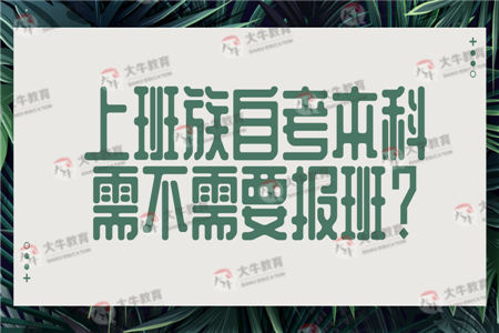 上班族自考本科需不需要报班？