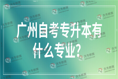 广州自考专升本有什么专业可以选？