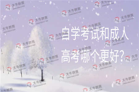 自学考试和成人高考哪个更好？